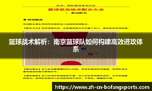 博坊体育官方网站